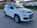 Fiat Panda Panda 0.9 t.air t. natural power Pop 80cv Bianco - thumbnail 8
