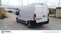 Fiat Ducato Series 9 Furgone Lastrato 35q Mh2 140cv 2.2 Multij Biały - thumbnail 6
