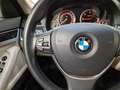 BMW 525 Serie 5 F11 Touring 525d Touring xdrive auto Grau - thumbnail 26