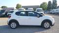Citroen C3 BlueHDi 100 S&S Business Combi 4 Posti N1 Bianco - thumbnail 5