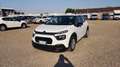 Citroen C3 BlueHDi 100 S&S Business Combi 4 Posti N1 Bianco - thumbnail 2