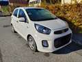 Kia Picanto Picanto 1.0 Spirit - thumbnail 1