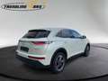 DS Automobiles DS 7 Crossback DS7 Crossback BlueHDi 130 S&S EAT8 Business Line Weiß - thumbnail 7