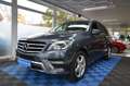 Mercedes-Benz ML 350 CDI BlueTec 4Matic *AMG STYLING*AHK*LEDER Grau - thumbnail 1