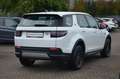 Land Rover Discovery Sport LED.Kamera.Spurhalteass. Weiß - thumbnail 5