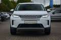 Land Rover Discovery Sport LED.Kamera.Spurhalteass. Weiß - thumbnail 3