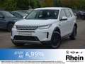 Land Rover Discovery Sport LED.Kamera.Spurhalteass. Weiß - thumbnail 1