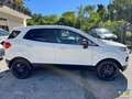 Ford EcoSport EcoSport 2014 1.5 tdci Business c/navi 95cv Blanco - thumbnail 4