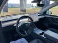 Tesla Model Y Model Y Long Range Dual Motor awd Alb - thumbnail 7