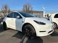 Tesla Model Y Model Y Long Range Dual Motor awd Wit - thumbnail 1