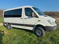 Mercedes-Benz Sprinter 316 CDI Sprinter 4 x 4 906.733 Weiß - thumbnail 2