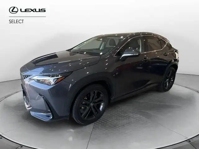 Lexus NX 300 Plug-in 4WD Premium + AZIENDALE IVA ESPOSTA