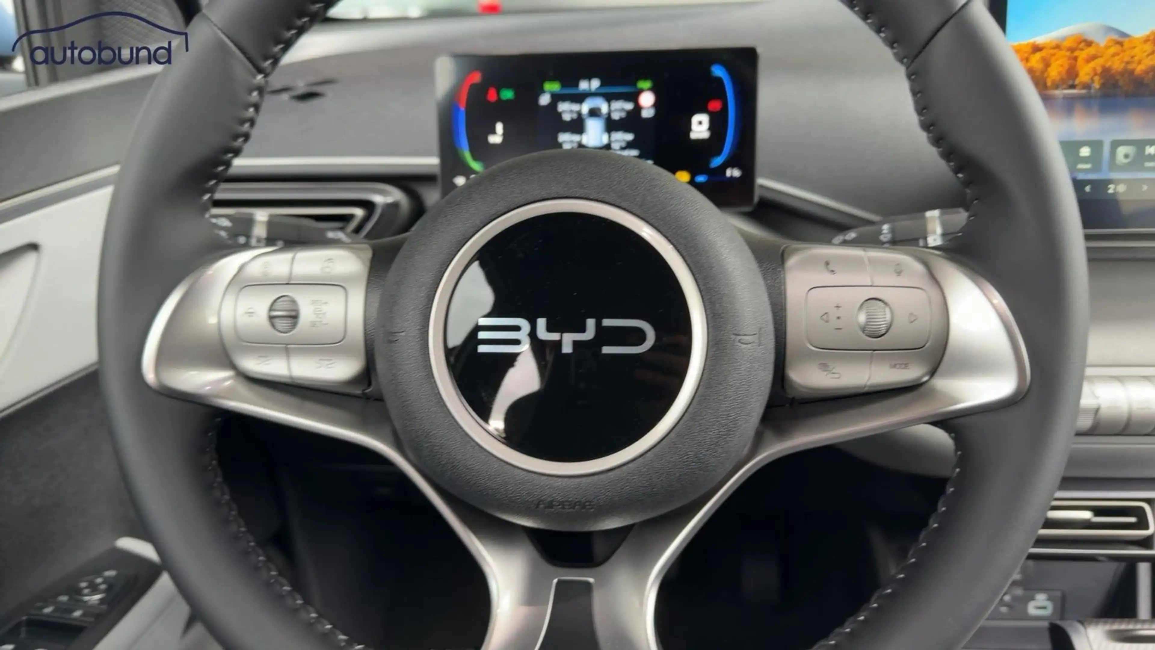 BYD Dolphin Surf Comfort Alu LED Link NAV NBA PDC RFK SHA Shz — photo 10