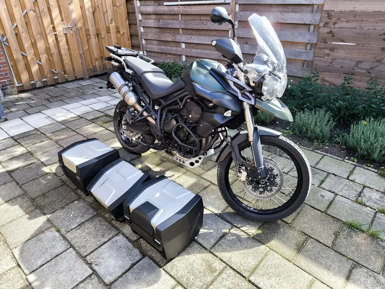 Triumph Tiger 800