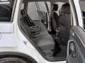 Volkswagen Tiguan 2.0 TDI DSG United, AHK, LED, Navi Weiß - thumbnail 12