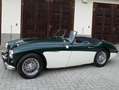 Austin-Healey 100 100/6 BN6 Grün - thumbnail 2