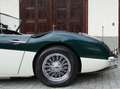 Austin-Healey 100 100/6 BN6 Grün - thumbnail 25