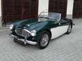Austin-Healey 100 100/6 BN6 Grün - thumbnail 1