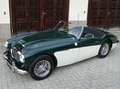 Austin-Healey 100 100/6 BN6 Grün - thumbnail 3