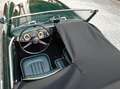Austin-Healey 100 100/6 BN6 Grün - thumbnail 13