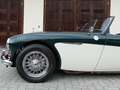 Austin-Healey 100 100/6 BN6 Grün - thumbnail 24