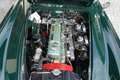 Austin-Healey 100 100/6 BN6 Grün - thumbnail 16
