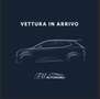 Mercedes-Benz S 350 Classe S - W/V  d (cdi bt) Maximum 4matic auto Grau - thumbnail 1