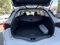 Renault Megane S.T. 1.5dCi Blue Zen EDC 85kW Wit - thumbnail 6