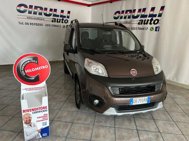 Fiat Fiorino QUBO 1.3 MJT 95CV Trekking (N1)