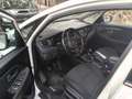 Kia Carens Carens 1.7CRDi Eco-Dynamics Drive 115 Drive Blanco - thumbnail 2