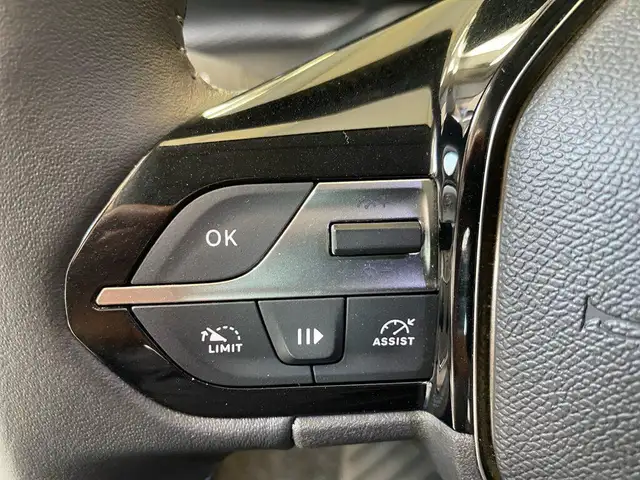 Peugeot 308 view 12