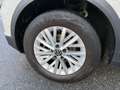 Volkswagen T-Roc 1.0 TSI Life *AHV; LED; VIRTUAL* Grau - thumbnail 9