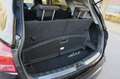 Nissan Qashqai+2 Vol Leder Aut Panoramadak 7-persoons Xtronic CVT 1 Negro - thumbnail 31
