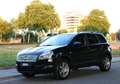 Nissan Qashqai+2 Vol Leder Aut Panoramadak 7-persoons Xtronic CVT 1 Negro - thumbnail 4
