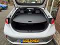 Hyundai IONIQ Premium EV SOH 100% / SCHUIF.KANTELDAK / CAMERA / Білий - thumbnail 9