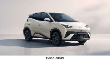 Dolphin Surf Comfort 43,2 kWh 360° Klima Tempo