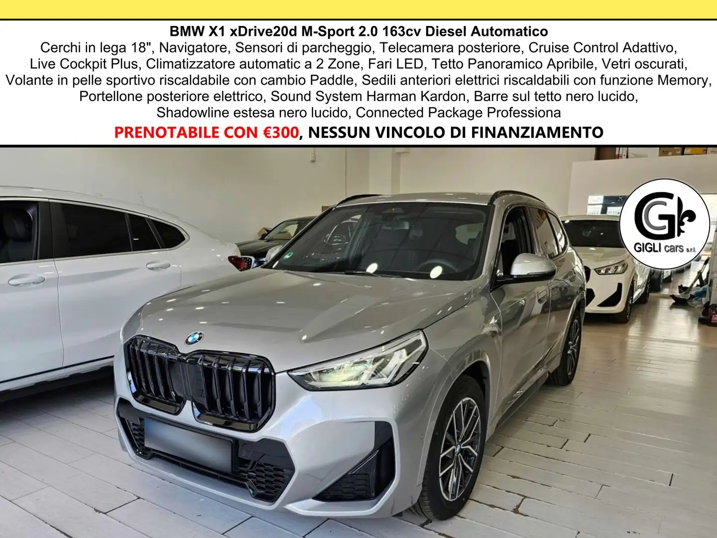 BMW X1 20d xDrive MSport Tetto Navi C.18" Cam M-Sport Nav Silber - 1