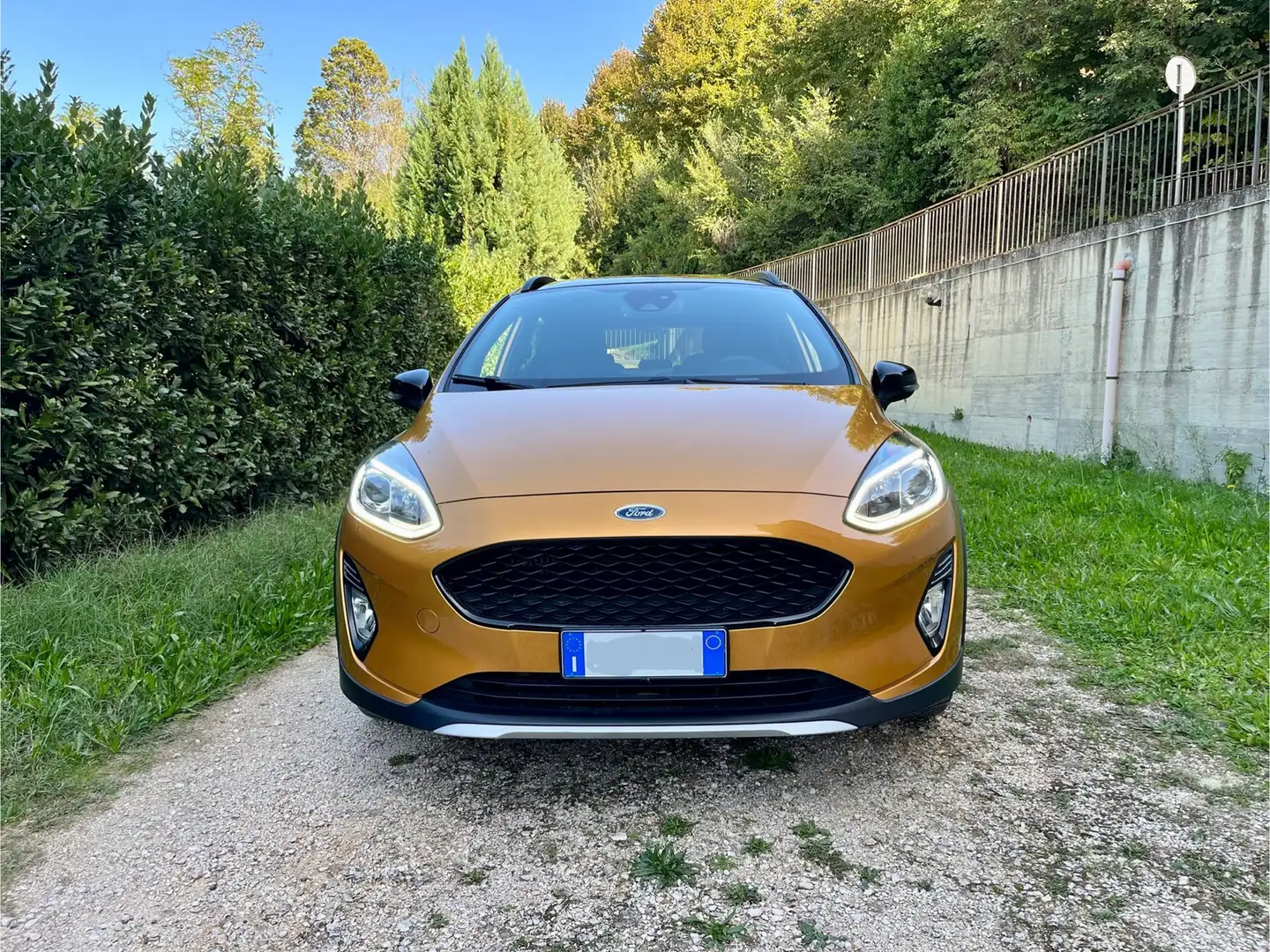 Ford Fiesta Active 1.0 Ecoboost Gold - 1