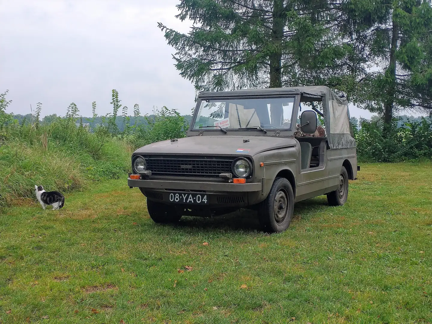DAF Sonstige originele NEDERLANDSE productie Grün - 2