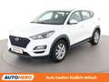 Hyundai TUCSON 1.6 TGDI LEVEL 3 4WD Weiß - thumbnail 1
