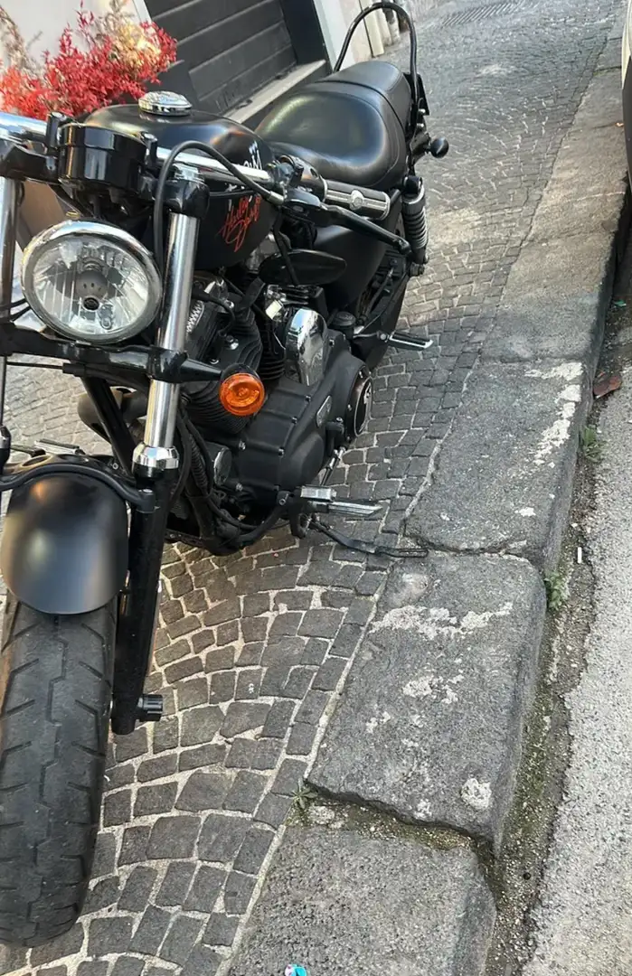 Harley-Davidson Sportster 1200 Forty Eight - 1