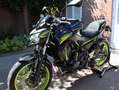 Kawasaki Z 650 Z650 - Nieuwstaat - Nieuwe banden Noir - thumbnail 8