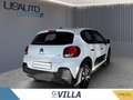 Citroen C3 Pure Tech 110 S&S MAX MY70 Bianco - thumbnail 4
