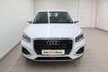 Audi Q2 30 TFSI intense Weiß - thumbnail 3