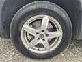 Volkswagen Tiguan 2,0 **Allrad**Erstbesitz** Blau - thumbnail 17