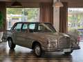 Mercedes-Benz 280 280 S Iscritta ASI e Registro Storico Mercedes Gris - thumbnail 2