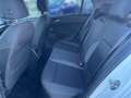 Volkswagen Golf VIII 1.5 TSI ACTIVE +LED +ACC +NAVI +SHZ +17" +AP Weiß - thumbnail 14