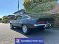 Chevrolet Camaro SS | 1969 | Route 66 Auctions Zwart - thumbnail 6