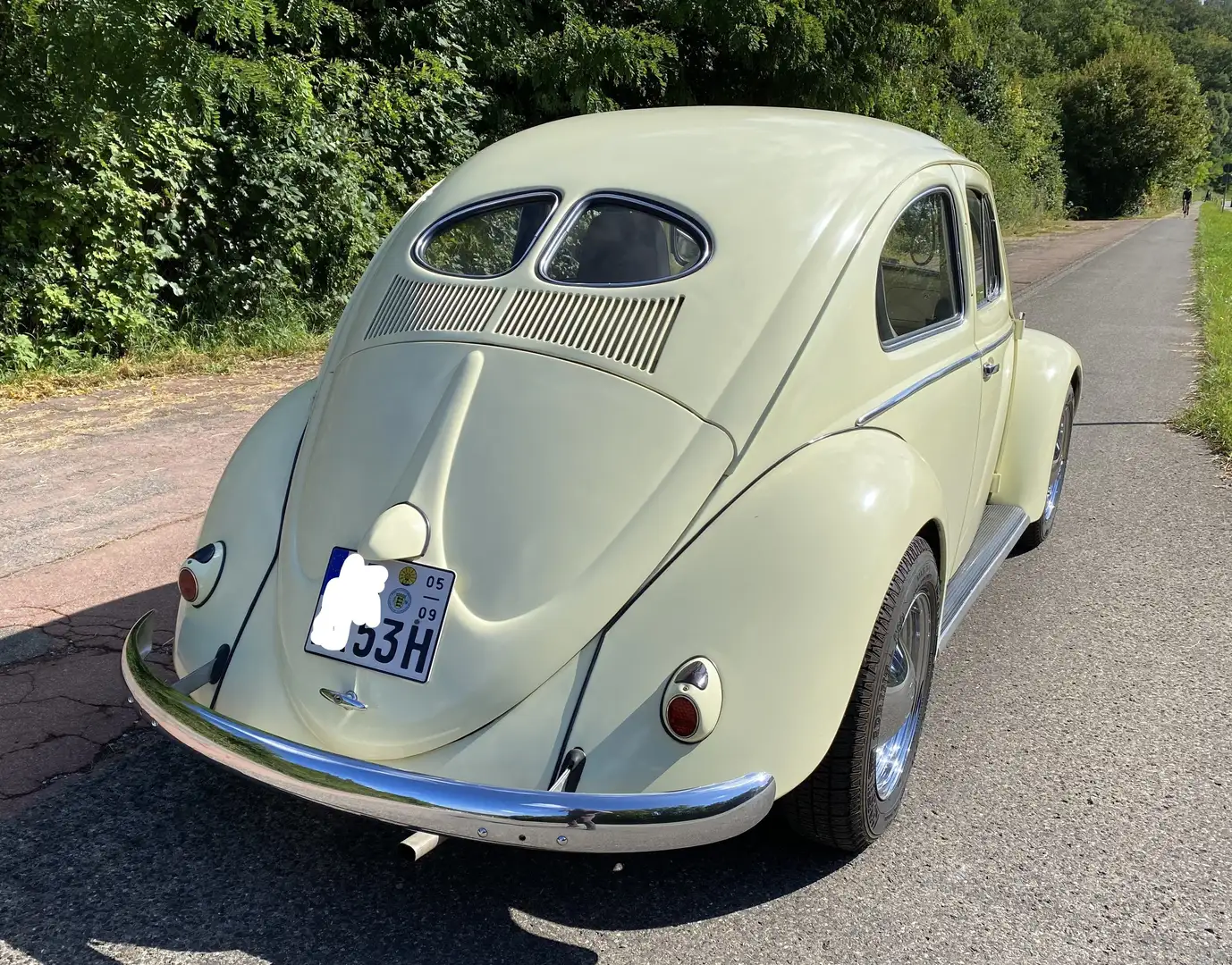 Volkswagen Käfer 1953 Brezel Béžová - 1