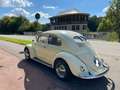 Volkswagen Käfer 1953 Brezel Beżowy - thumbnail 3